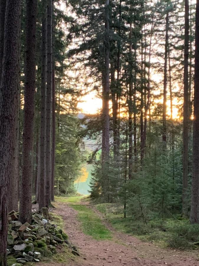 Tarahaus Apartamento Sankt Georgen im Schwarzwald Exterior foto