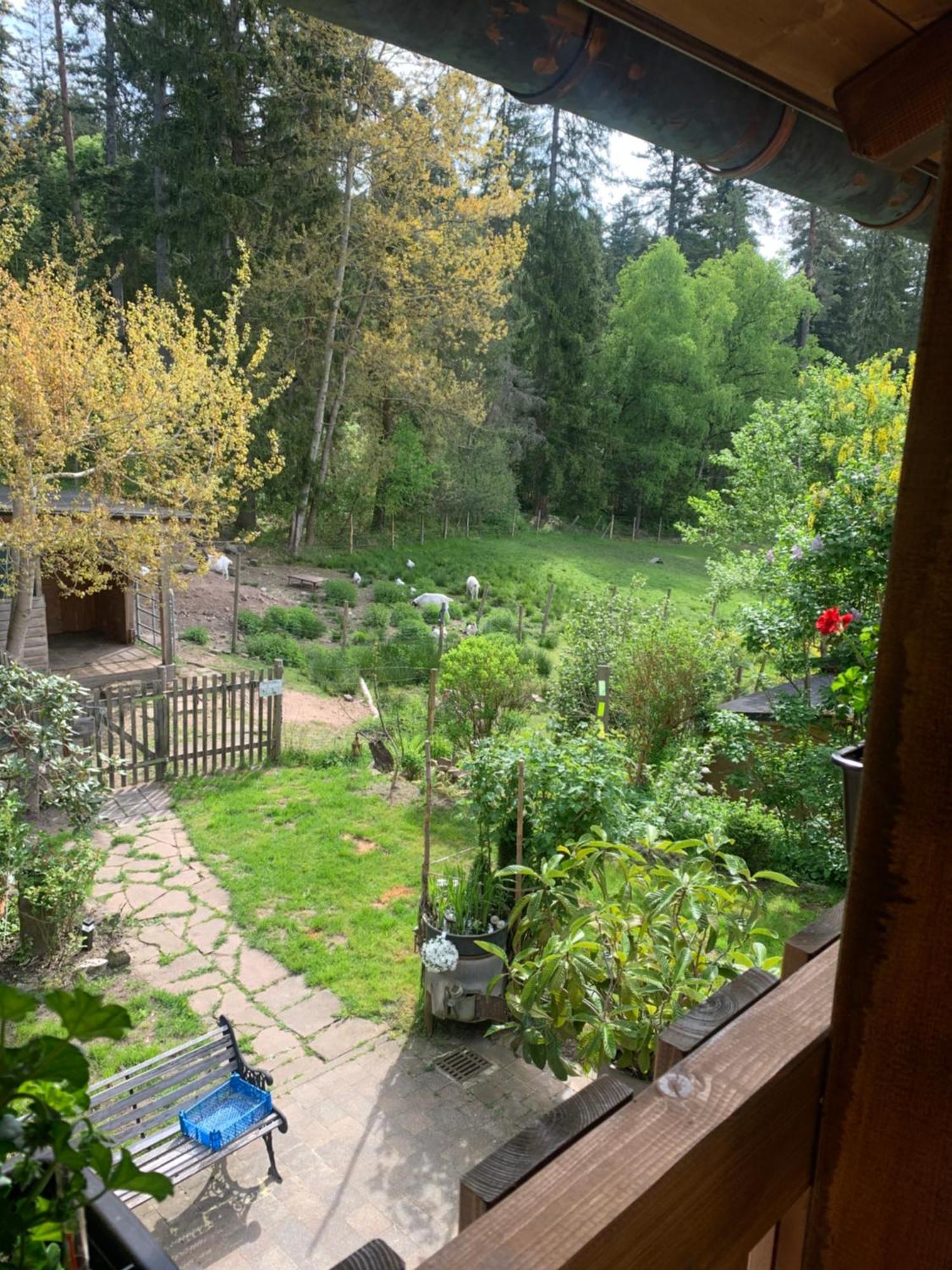 Tarahaus Apartamento Sankt Georgen im Schwarzwald Exterior foto